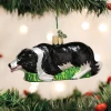 Old World Christmas Herding Border Collie Ornament