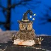 Bethany Lowe New! Owl Wizard