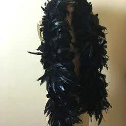 Zucker Fabulous Black Feather Boa/Garland Halloween
