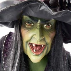 Katherine's Collection Haunted Witch Wall Piece New!