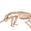 Seasons USA Rat Skeleton