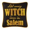 TheHolidayBarn.com New! Salem Witch Pillow 2 TheHolidayBarn.com New! Salem Witch Pillow