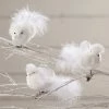 Bethany Lowe Winter Snow Bird Clip Ornaments