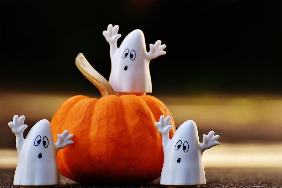 TheHolidayBarn Sales Shop 34 TheHolidayBarn Sales Shop -THE HOLIDAY BARN Shop 545